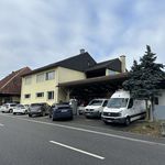 Rent 1 bedroom apartment in Brittnau