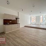 Rent 1 bedroom apartment of 44 m² in Kroměříž