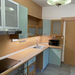 Rent 2 bedroom apartment of 61 m² in Hranice