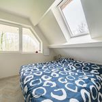Rent 6 bedroom house in Nunspeet