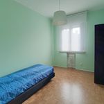 Affitto 2 camera appartamento di 112 m² in Treviso