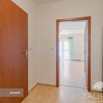 Rent 1 bedroom apartment of 37 m² in Plzeň