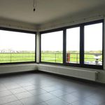 Rent 2 bedroom house in Ostend