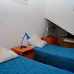 Rent 3 bedroom apartment of 35 m² in Le Barcarès