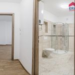 Rent 2 bedroom apartment of 40 m² in Prostějov