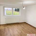 Rent 4 bedroom house of 150 m² in Overijse