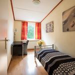 Huur 4 slaapkamer appartement van 75 m² in Brielle