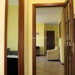 Rent 3 bedroom apartment of 100 m² in Parabiago