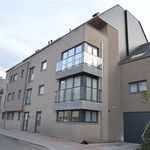 Rent 3 bedroom apartment in Merchtem