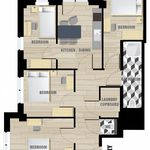 Rent 4 bedroom apartment in Den Haag