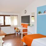 Rent a room in Modena
