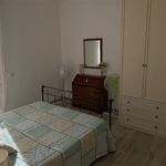 Affitto 1 camera appartamento in Pietrasanta