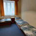 Rent 3 bedroom apartment in Písek