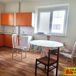Rent 3 bedroom apartment of 55 m² in Blansko