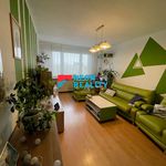 Rent 2 bedroom apartment of 56 m² in Orlová