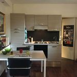Rent 1 bedroom apartment of 35 m² in Rome