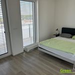 Rent 1 bedroom apartment of 56 m² in Plzeň