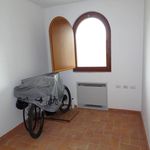 Rent 2 bedroom apartment of 55 m² in Frascati
