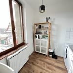 Rent 1 bedroom apartment of 21 m² in Eckbolsheim