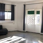 Rent 2 bedroom apartment of 79 m² in Roma
