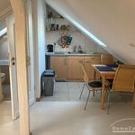 Rent 1 bedroom apartment of 30 m² in Schwerin