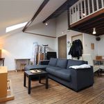 Rent 1 bedroom apartment in Antwerp