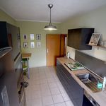 Rent 2 bedroom apartment of 50 m² in Cottbus