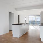 Rent 3 bedroom apartment of 91 m² in Skovlunde