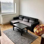 Rent 2 bedroom apartment of 47 m² in Jihlava
