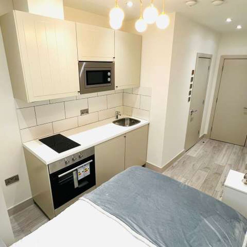 Studio apartment for rent in London Holders Hill