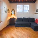 Rent 1 bedroom apartment of 56 m² in Firenze