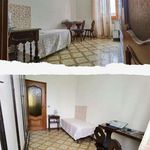Rent 3 bedroom apartment of 85 m² in Torino