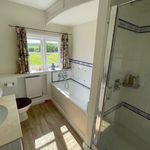 Rent 5 bedroom house in Basingstoke