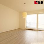 Rent 2 bedroom apartment of 58 m² in Brno