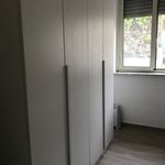 Rent 1 bedroom apartment of 50 m² in Stalettì