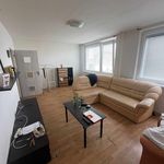 Rent 1 bedroom apartment in Most