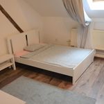 Rent 7 bedroom apartment in Praha