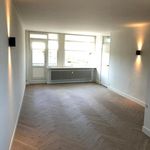 Rent 1 bedroom apartment of 75 m² in Castricum