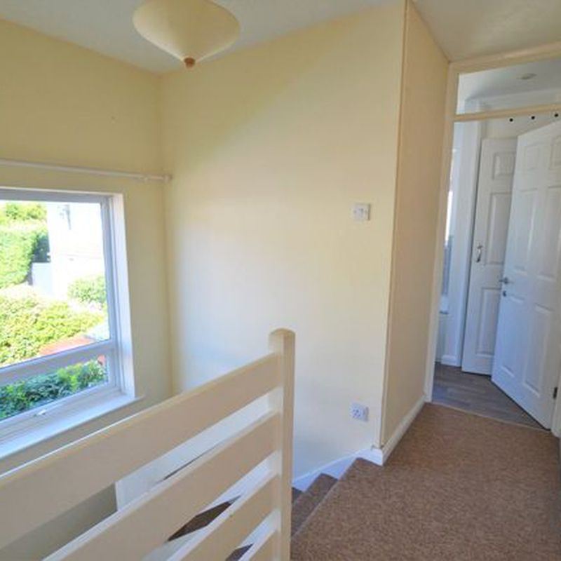 Semi-detached house to rent in Bull Meadow, Bishops Lydeard, Taunton, Somerset TA4