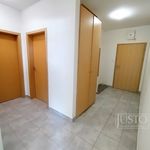 Rent 3 bedroom apartment of 82 m² in Písek