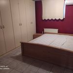 Ενοικίαση 3 υπνοδωμάτιο διαμέρισμα από 130 m² σε Peraia