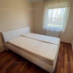 Rent 5 bedroom apartment of 153 m² in Győr