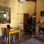 Rent 4 bedroom apartment of 75 m² in San Frediano