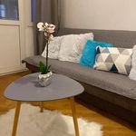 Rent 6 bedroom apartment in Wrocław