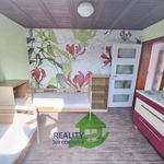 Rent 1 bedroom apartment of 16 m² in Rudolfov