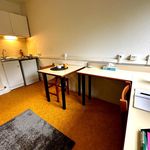Rent 1 bedroom apartment of 19 m² in Belfort