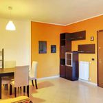 Rent 1 bedroom apartment of 64 m² in Roma