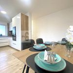 Rent 4 bedroom apartment of 87 m² in Město Albrechtice