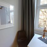 Rent 2 bedroom apartment of 52 m² in Bonn
