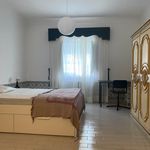 Rent 4 bedroom house in Évora